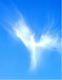 skyangel profile picture