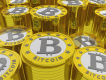 BitcoinCasino.org profile picture