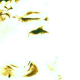 marcusaurelius profile picture