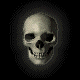 skeletonbit profile picture