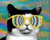 pulsecat profile picture
