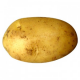 potato5491 profile picture